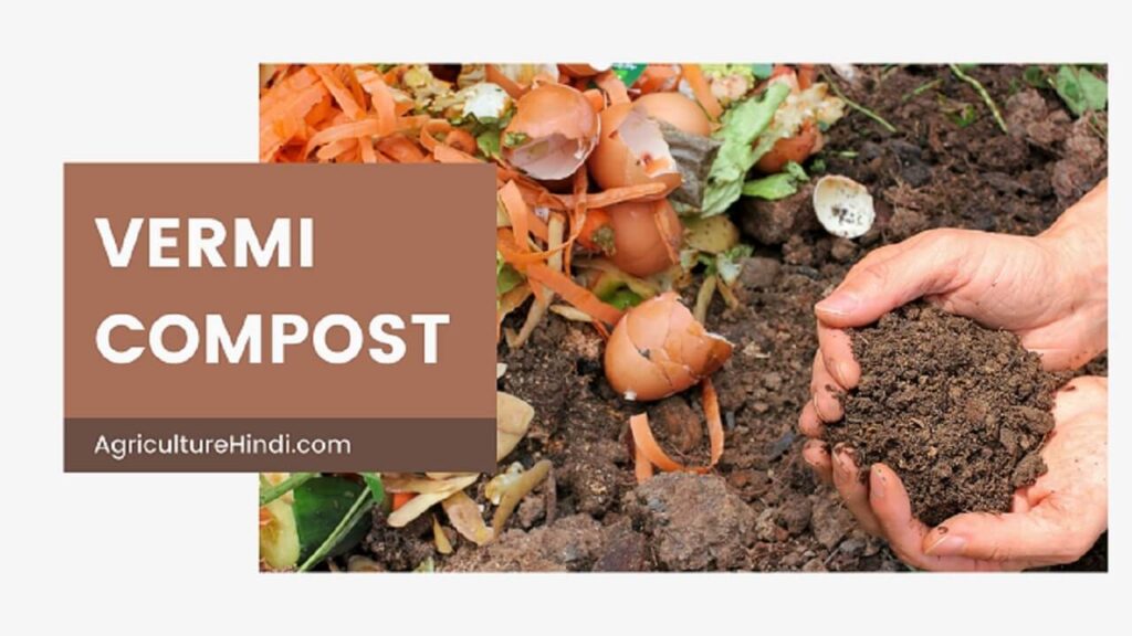 Vermi Compost Business